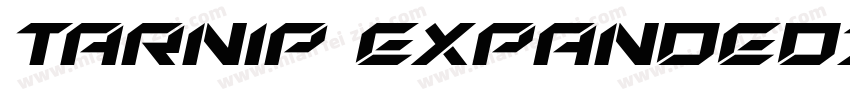 Tarnip ExpandedItalic字体转换